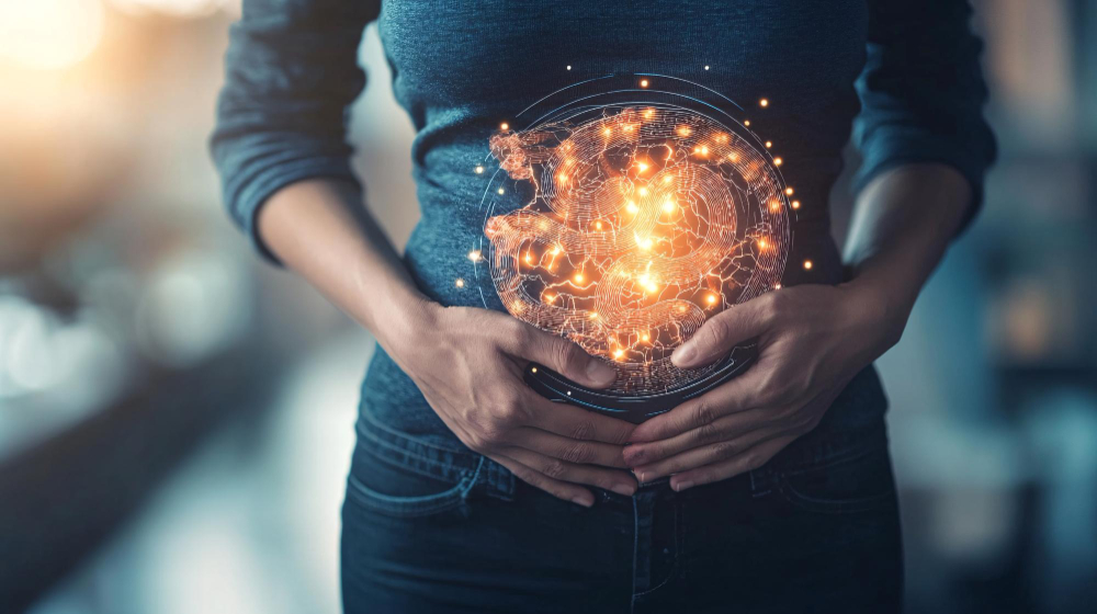 Gut-Brain Axis: Bağırsak Sağlığı Ruh Halinizi Nasıl Etkiler?