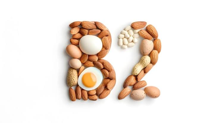 B2 Vitamini (Riboflavin)