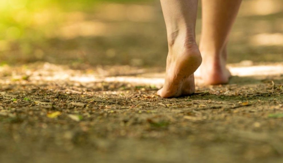Topraklama (Grounding/Earthing): Doğanın Elektriğiyle Yenilenin