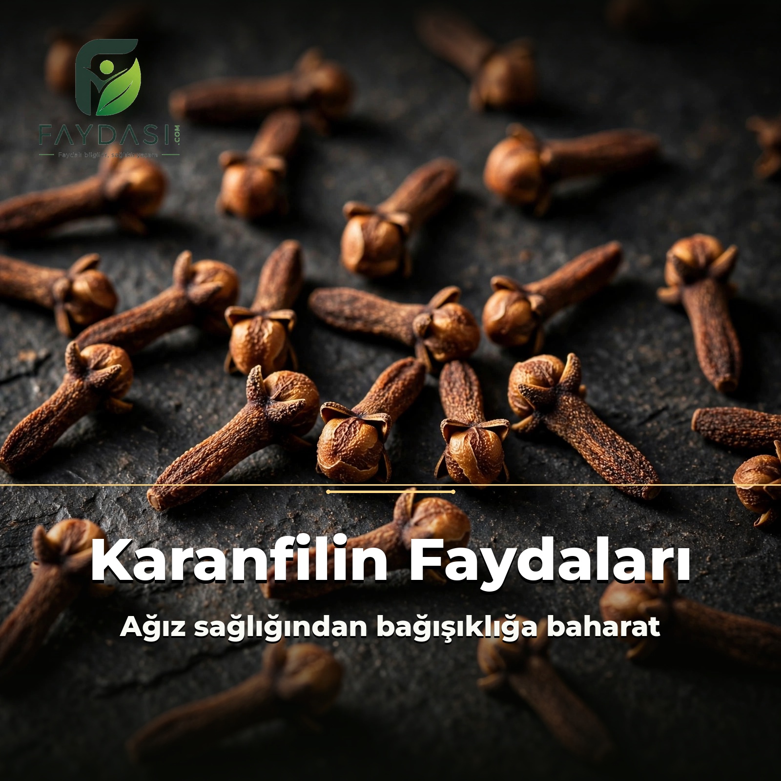 Karanfilin Faydaları Nelerdir, Neye İyi Gelir?