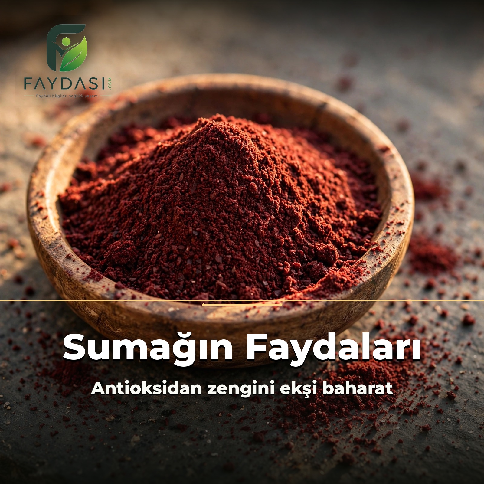 Sumak Faydalari Nelerdir? Neye Iyi Gelir?