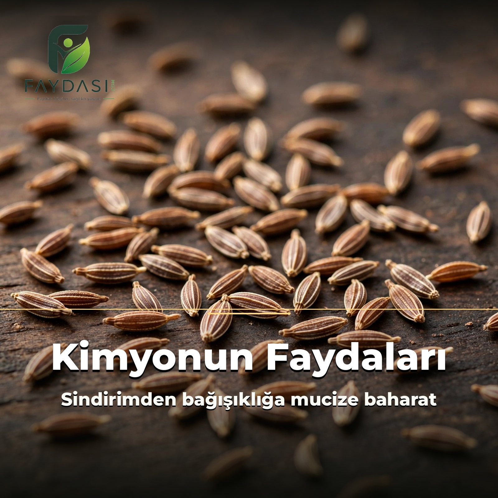Kimyonun Faydaları Nelerdir, Neye İyi Gelir?
