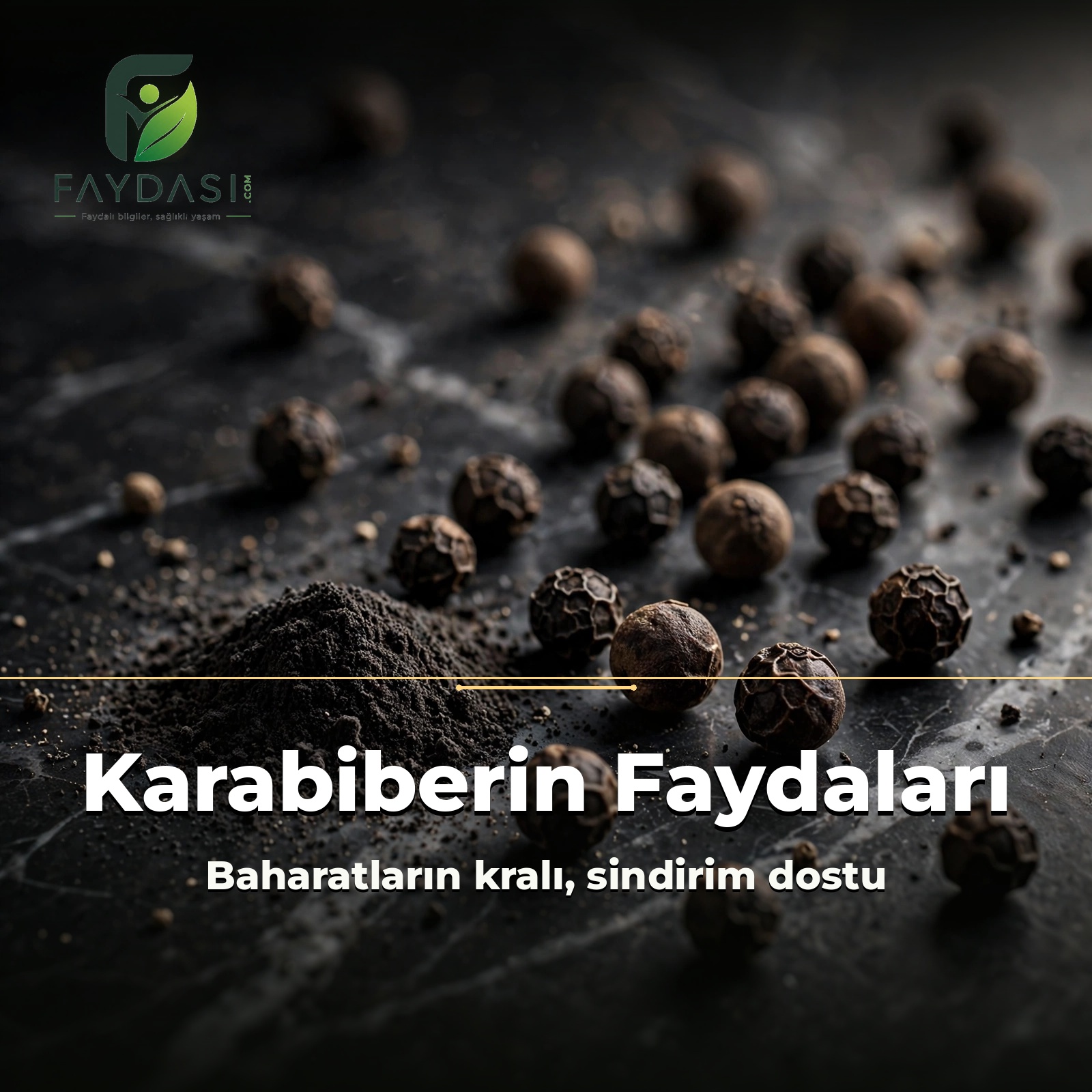 Karabiberin Faydaları Nelerdir, Neye İyi Gelir?