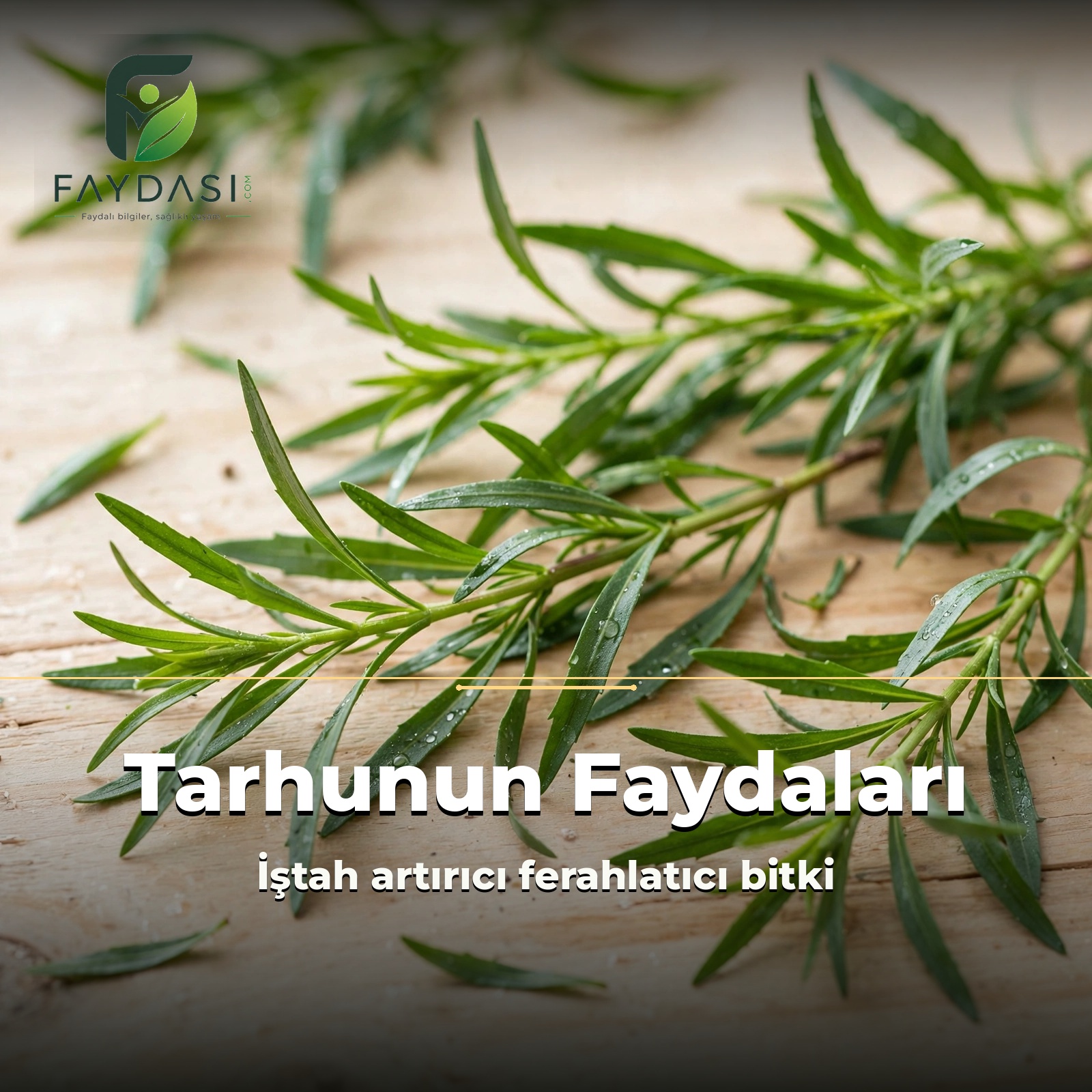 Tarhunun Faydaları Nelerdir, Neye İyi Gelir?