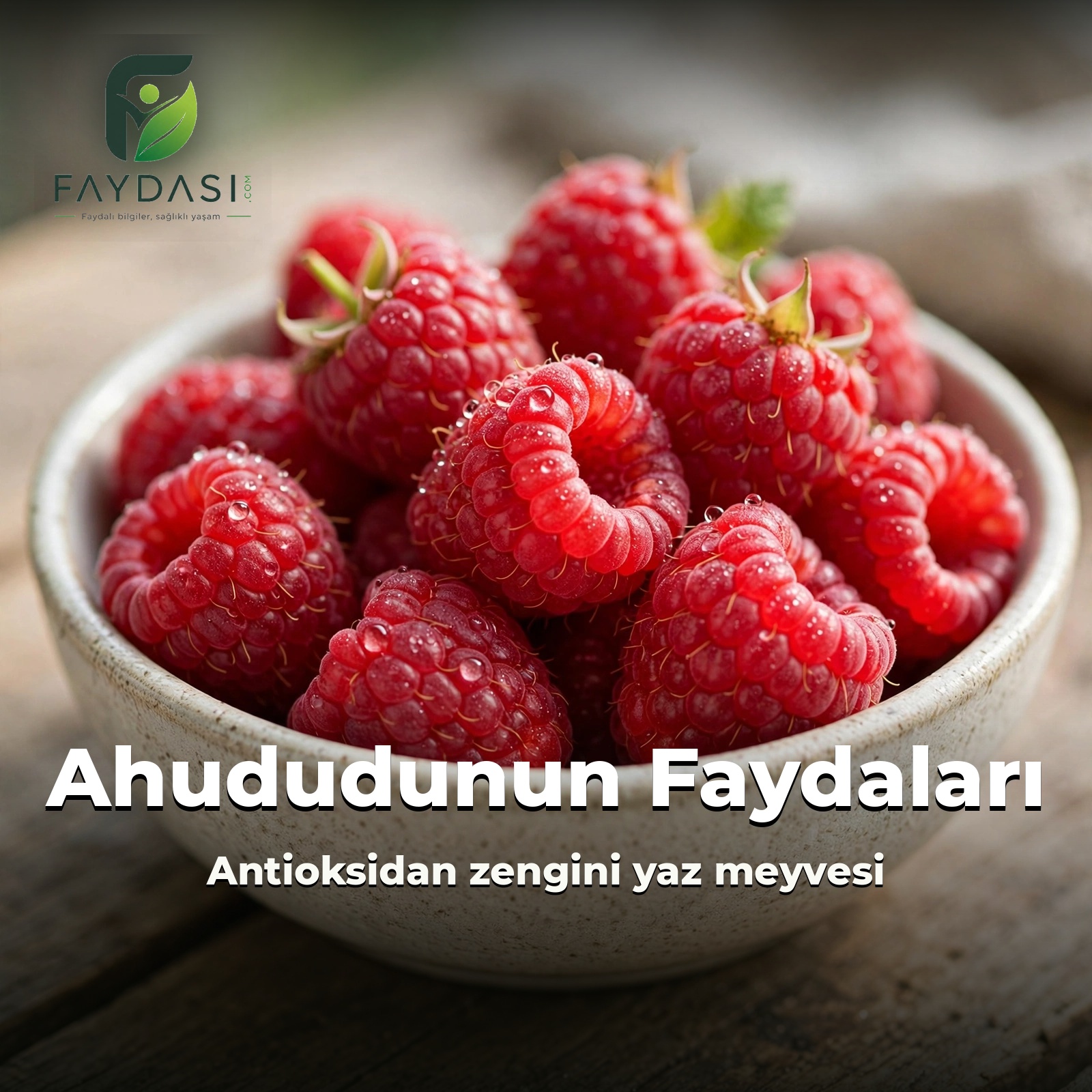 Ahududu Faydaları Nelerdir, Neye İyi Gelir?