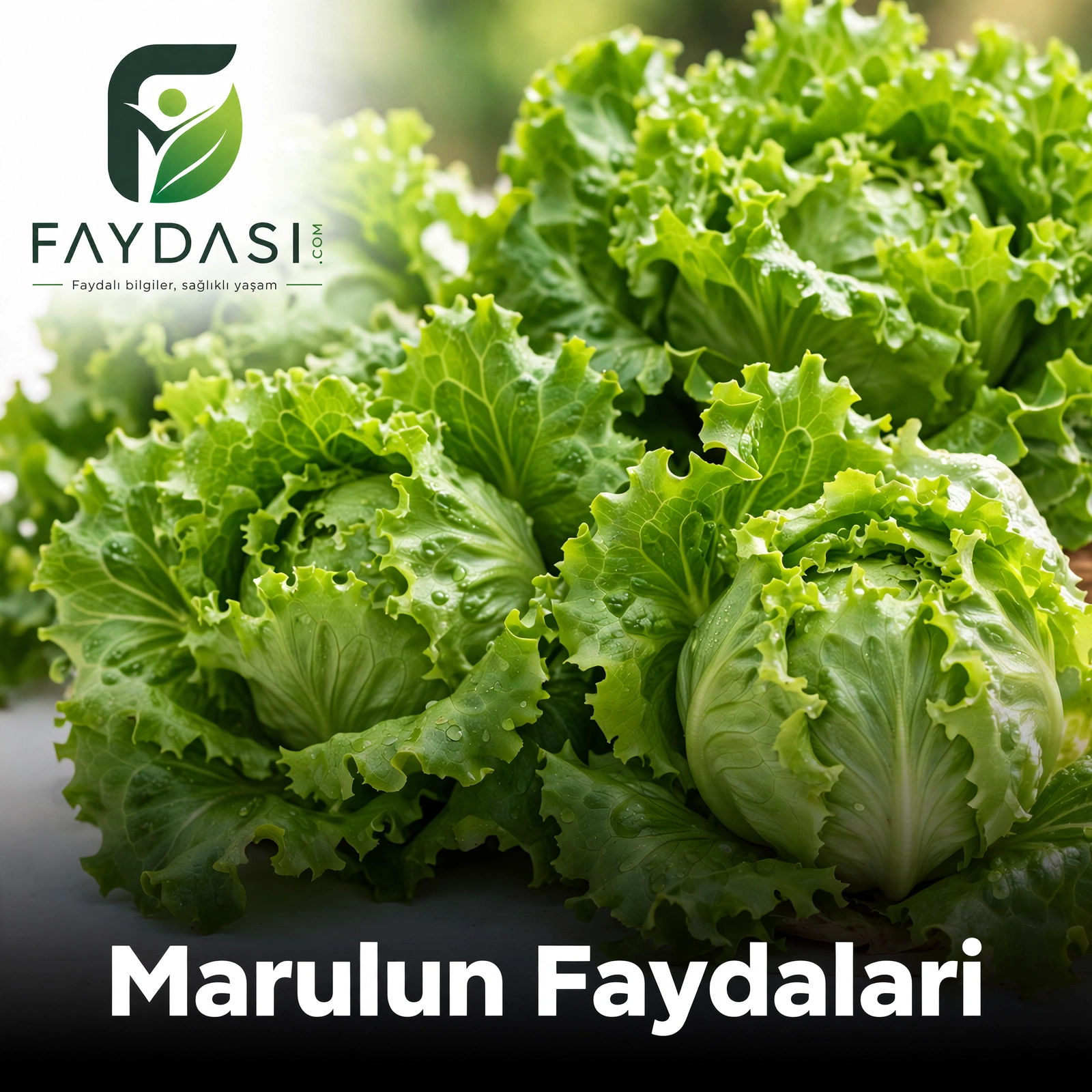 Marulun Faydaları Nelerdir