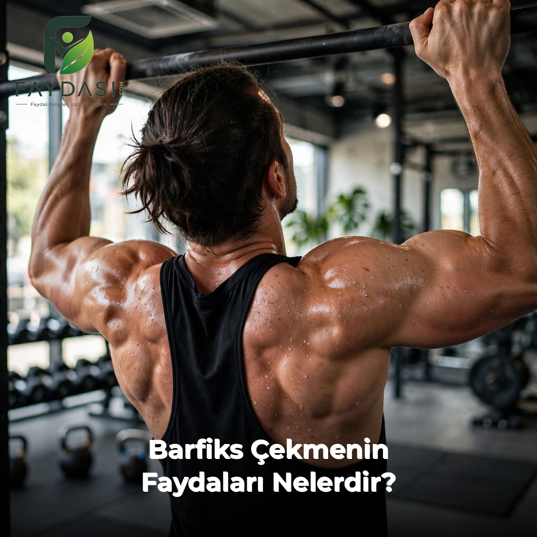 Barfiks Çekmenin Faydaları