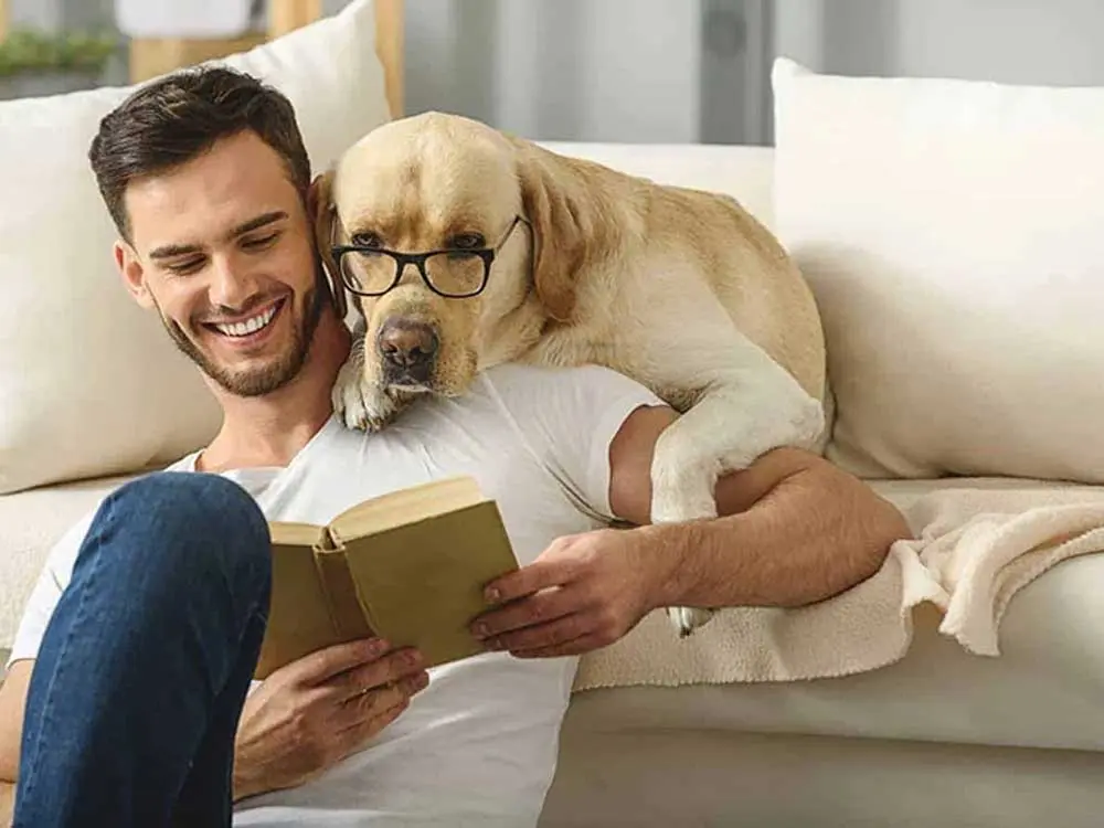 İzmir Köpek Eğitimi
